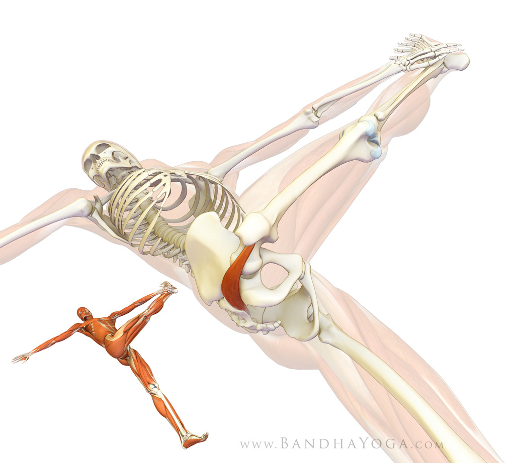 Diagnosis and Management of Piriformis Syndrome: An Osteopathic